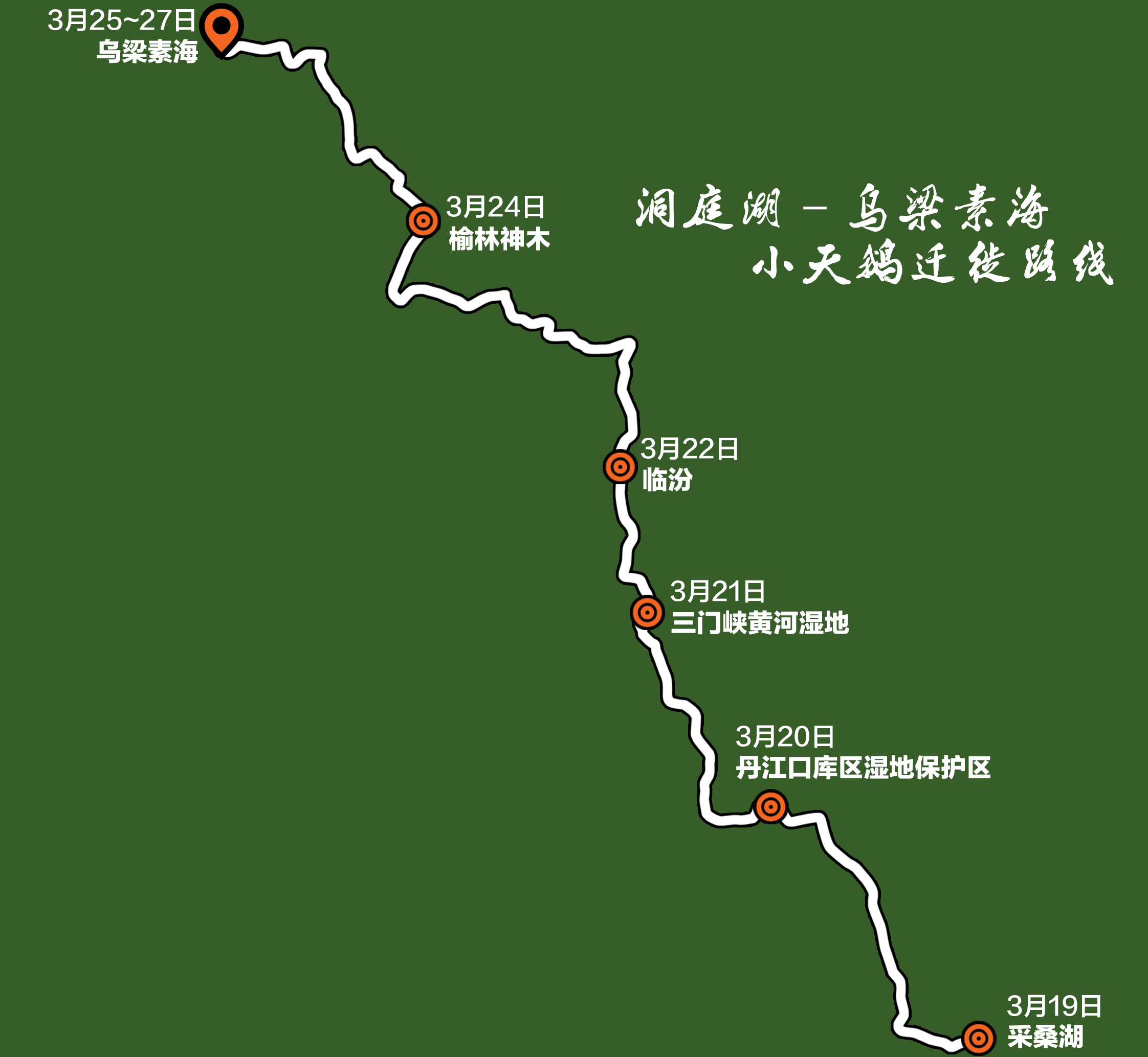 由我会支持的"守护候鸟迁徙路"2016年洞庭湖—乌梁素海小天鹅迁徙跟踪